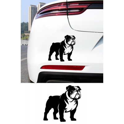 Bulldog Sticker - İngiliz Bulldog Araba Sticker - Köpek Oto Sticker 15x14cm