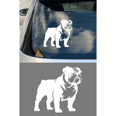 Bulldog Sticker - İngiliz Bulldog Araba Sticker - Köpek Oto Sticker 15x14cm