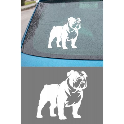 Bulldog Sticker - İngiliz Bulldog Araba Sticker - Köpek Oto Sticker 15x14cm