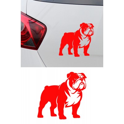 Bulldog Sticker - İngiliz Bulldog Araba Sticker - Köpek Oto Sticker 15x14cm