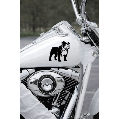 Bulldog Sticker - İngiliz Bulldog Araba Sticker - Köpek Oto Sticker 15x14cm