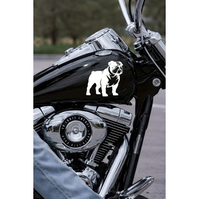 Bulldog Sticker - İngiliz Bulldog Araba Sticker - Köpek Oto Sticker 15x14cm