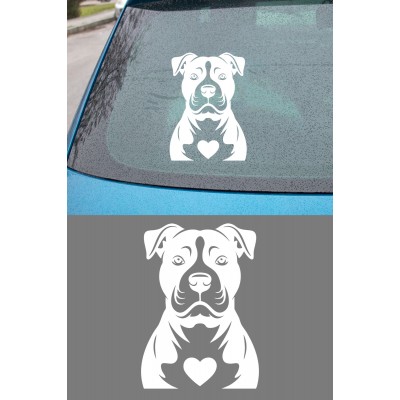 Köpek Sticker – Pitbull Tasarımlı - Araba Oto Motor Sticker 15x11cm