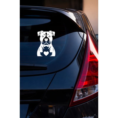 Köpek Sticker – Pitbull Tasarımlı - Araba Oto Motor Sticker 15x11cm