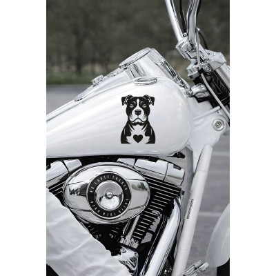 Köpek Sticker – Pitbull Tasarımlı - Araba Oto Motor Sticker 15x11cm