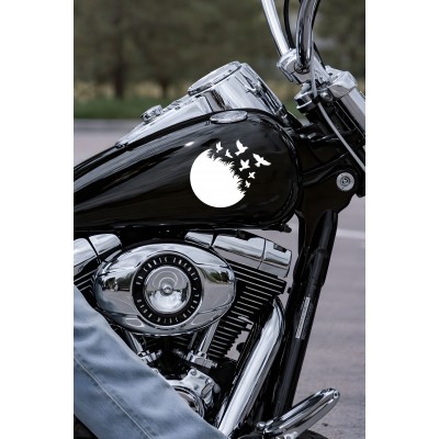 Özgürlük Temalı Kuş Sticker Araç Sticker - Uçan Kuşlar Oto Sticker 15x13cm