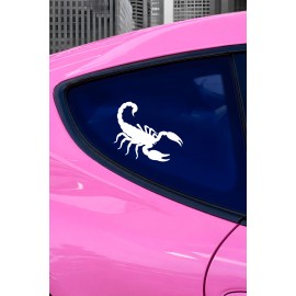 Akrep Oto Sticker - Agresif Tasarım Araç Sticker - Motor Sticker 15x13cm