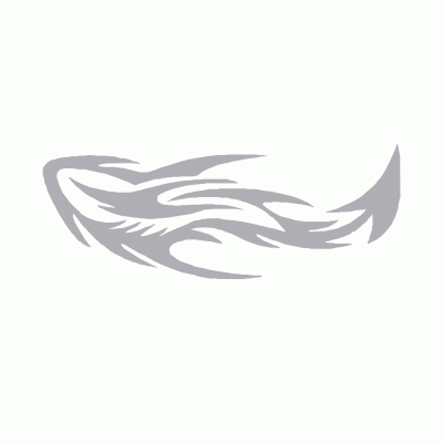 Kişiye Kamyona Özel Alev Sticker Yapıştırma