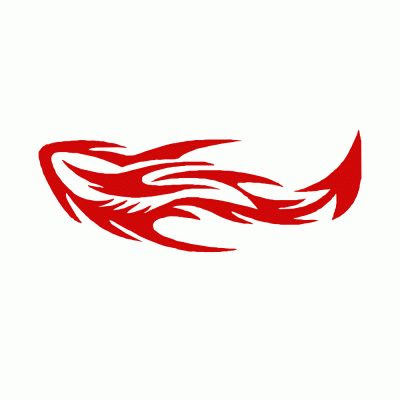 Kişiye Kamyona Özel Alev Sticker Yapıştırma