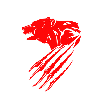 Kişiye Kamyona Özel Ayı Sticker Yapıştırma