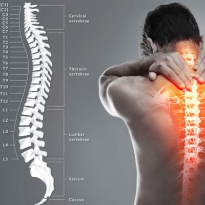 Firmaya Özel Ortadoğu  Ortopedik Merkezi,Postür Analiz Tablosu Sticker Yapıştırma  200x100cm