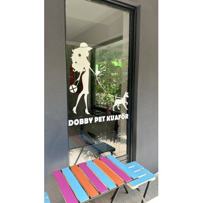  Petshop Ve Veterinerlere Özel Köpek Gezdiren Kadın Sticker Yapıştırma