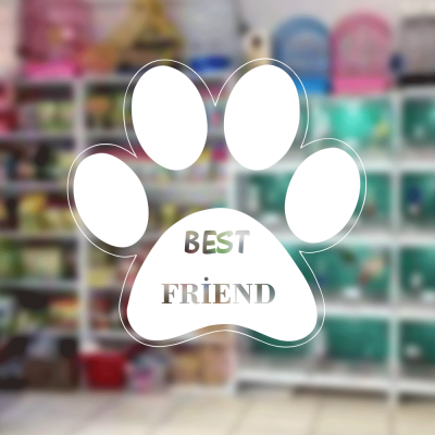 Petshop Ve Veterinerlere Özel Best Friend Sticker Yapıştırma