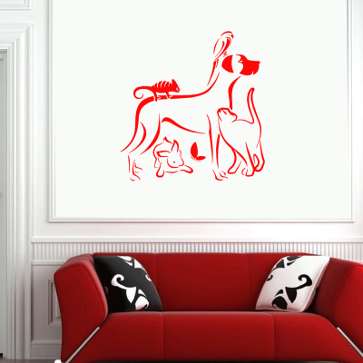 Petshop Ve Veterinerlere Özel Bukalemun Papağan Sticker Yapıştırma