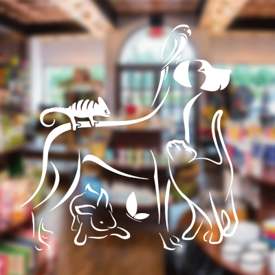 Petshop Ve Veterinerlere Özel Bukalemun Papağan Sticker Yapıştırma