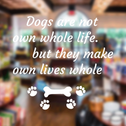 Petshop Ve Veterinerlere Özel Dogs Are Not Own Whole Life Sticker Yapıştırma