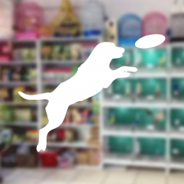  Petshop Ve Veterinerlere Özel Frizbiyle Oynayan Köpek Sticker Yapıştırma