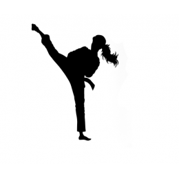 Spor Salonlarına Özel Karate Duvar Yazısı Cam Vitrin Sticker Yapıştırma