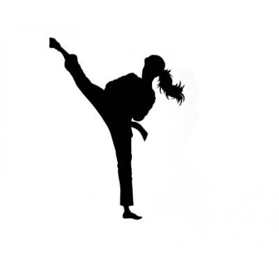 Spor Salonlarına Özel Karate Dövüş Sanatı Duvar Yazısı Cam Vitrin Sticker Yapıştırma