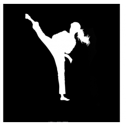 Spor Salonlarına Özel Karate Duvar Yazısı Cam Vitrin Sticker Yapıştırma