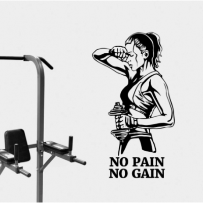 No Pain No Gain Yazısı Spor Salonu Duvar Stickerı