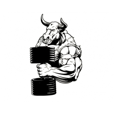 Spor Salonlarına Özel Kızgın Boğa Dambıl Yazısı Cam Vitrin Sticker Yapıştırma