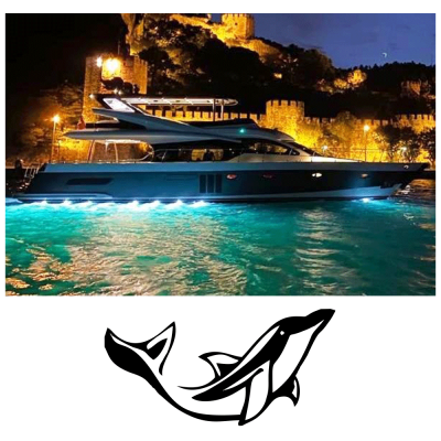Kişiye Tekneye Yatlara Özel yunus  Logo Yazısı Sticker Yapıştırma 