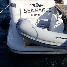 Tekneye Yat'a Özel Sea Eagle Çalışması Sticker Yapıştırma 80x50cm