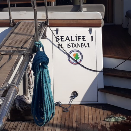 Tekneye Yat'a Özel SeaLife Çalışması Sticker Yapıştırma 