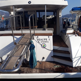 Tekneye Yat'a Özel SeaLife Çalışması Sticker Yapıştırma 100x50cm