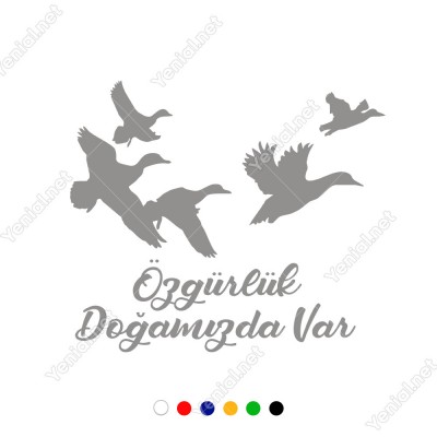 Özgürlük Doğamızda Var Duvar Yazısı Sticker 60x51cm