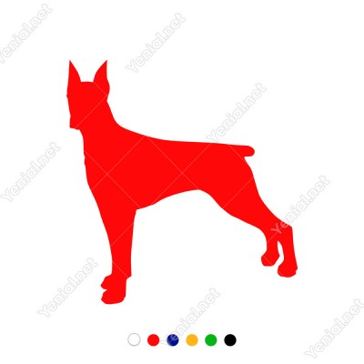 Ayakları Geride Duran Dikkatli Doberman Köpeği Sticker