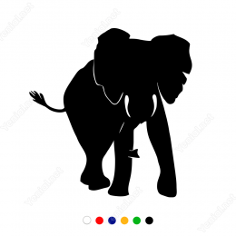 Fil Elephant Sticker Yapıştırma 
