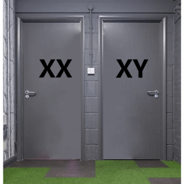 Wc Stickeri XX - XY Şekilleri Bay Bayan Yapıştırma