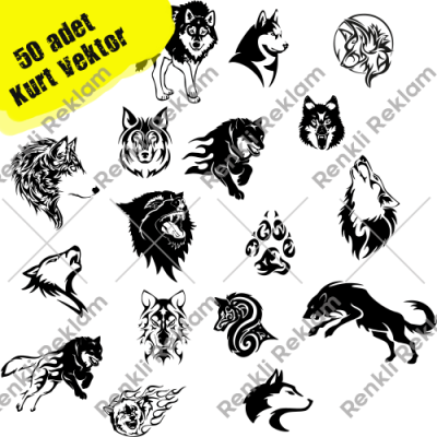 50 Adet Farklı Kurt Vektörü Satın Al